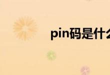 pin码是什么（pin码介绍）