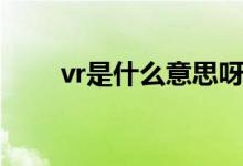 vr是什么意思呀（vr是什么意思呀）