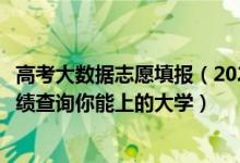 高考大数据志愿填报（2022年高考志愿大数据查询：输入成绩查询你能上的大学）