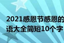 2021感恩节感恩的的话（2021感恩节感恩寄语大全简短10个字）