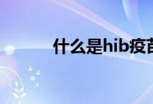 什么是hib疫苗（何谓hib疫苗）