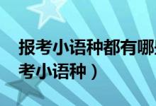 报考小语种都有哪些分类（2022高考如何报考小语种）