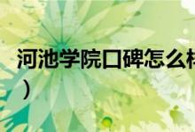 河池学院口碑怎么样好就业吗（全国排名第几）