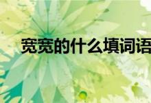 宽宽的什么填词语一年级（宽宽的什么）