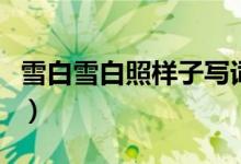 雪白雪白照样子写词语（四个字的叠词有哪些）