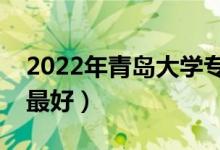 2022年青岛大学专业排名及介绍（哪些专业最好）