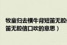 牧童归去横牛背短笛无腔信口吹的意思（牧童归去横牛背短笛无腔信口吹的意思）