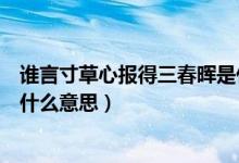 谁言寸草心报得三春晖是什么诗（谁言寸草心报得三春晖是什么意思）