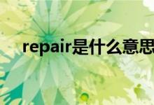 repair是什么意思中文（repair的意思）