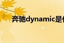 奔驰dynamic是什么意思（你懂了吗）