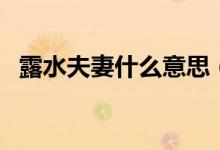 露水夫妻什么意思（露水夫妻意思是什么）