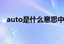 auto是什么意思中文（auto是什么意思）