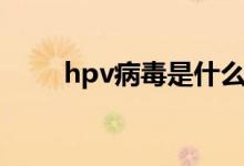 hpv病毒是什么（hpv是什么病毒）