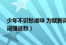 少年不识愁滋味 为赋新词强说愁（少年不知愁滋味 为赋新词强说愁）