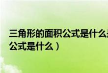 三角形的面积公式是什么是怎样推导出来的（三角形的面积公式是什么）