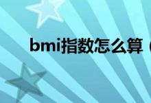 bmi指数怎么算（如何计算BMI指数）