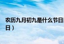 农历九月初九是什么节日民俗活动（农历九月初九是什么节日）