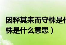 因释其耒而守株是什么意思啊（因释其耒而守株是什么意思）