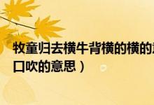 牧童归去横牛背横的横的意思（牧童归去横牛背短笛无腔信口吹的意思）