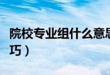 院校专业组什么意思（院校专业组志愿填报技巧）