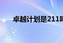 卓越计划是211吗（卓越计划是什么）