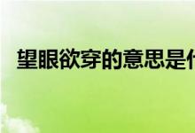 望眼欲穿的意思是什么（望眼欲穿的释义）