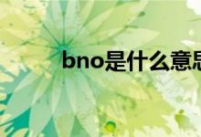 bno是什么意思（bno意思简述）