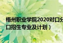 梧州职业学院2020对口分数线（2022梧州职业学院高职对口招生专业及计划）