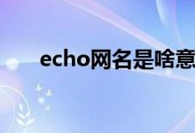 echo网名是啥意思（echo网名寓意）