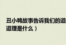 丑小鸭故事告诉我们的道理100字（丑小鸭故事告诉我们的道理是什么）