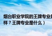 烟台职业学院的王牌专业是什么（2022年烟台职业学院怎么样？王牌专业是什么）