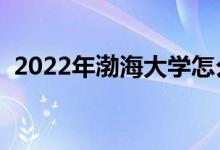 2022年渤海大学怎么样（王牌专业有哪些）