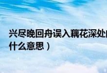 兴尽晚回舟误入藕花深处的意思（兴尽晚回舟误入藕花深处什么意思）