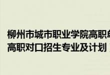 柳州市城市职业学院高职单独招生（2022柳州城市职业学院高职对口招生专业及计划）