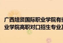 广西培贤国际职业学院有些什么专业（2022广西培贤国际职业学院高职对口招生专业及计划）