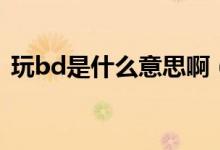 玩bd是什么意思啊（玩bd到底是什么意思）