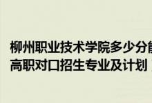 柳州职业技术学院多少分能上对口（2022柳州职业技术学院高职对口招生专业及计划）