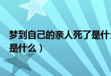 梦到自己的亲人死了是什么意思（梦到自己的亲人死了意思是什么）