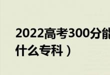 2022高考300分能上什么学校（300分能上什么专科）