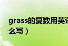 grass的复数用英语怎么写（grass的复数怎么写）