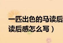 一匹出色的马读后感20个字（一匹出色的马读后感怎么写）