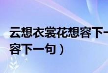 云想衣裳花想容下一句是什么（云想衣裳花想容下一句）