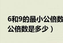 6和9的最小公倍数和最大因数（6和9的最小公倍数是多少）