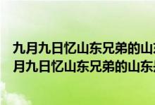 九月九日忆山东兄弟的山东是什么意思异乡指的是什么（九月九日忆山东兄弟的山东是什么意思）