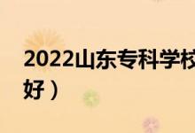 2022山东专科学校排名（哪些大专院校比较好）