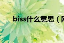 biss什么意思（网络语biss什么意思）