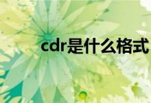 cdr是什么格式（这里有具体介绍）