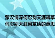 蒙汉情深何忍别天涯碧草话的意思是什么150字（蒙汉情深何忍别天涯碧草话的意思是什么）