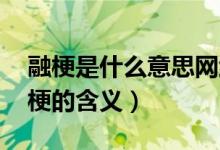 融梗是什么意思网络用语（融梗什么意思 融梗的含义）