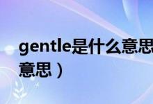 gentle是什么意思中文名词（gentle是什么意思）